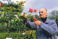 Луи де Фюнес со своими розами