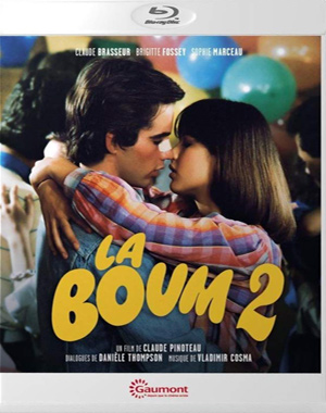BD обложка к фильму «Бум 2»
